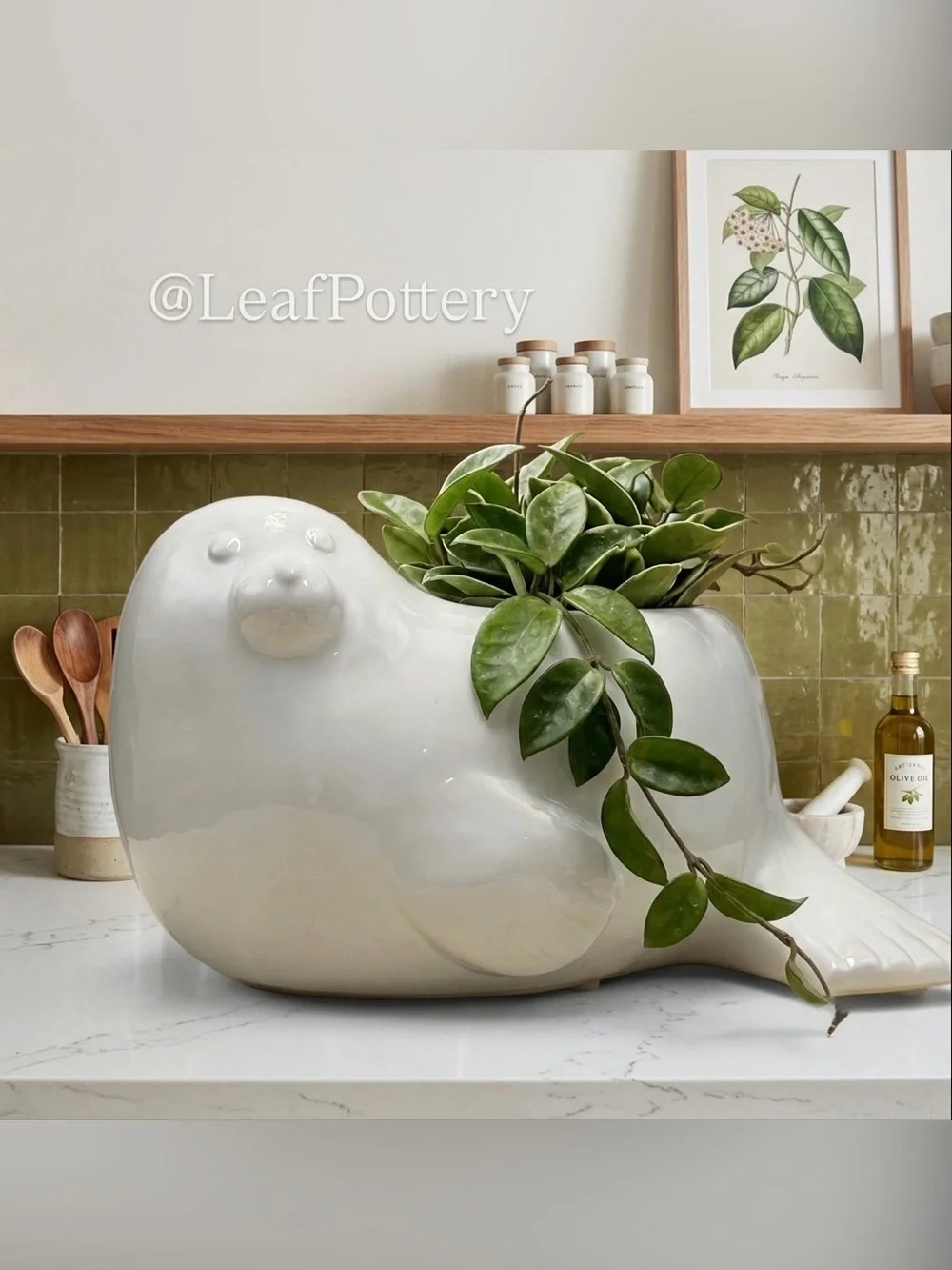 Ceramic Seal Planter with Drainage Hole • Cute Animal Flower Pot